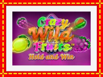 Speel de machine Crazy Wild Fruits: spannende gratis spins