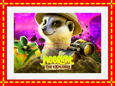 Speel de machine Meerkat: spannende gratis spins