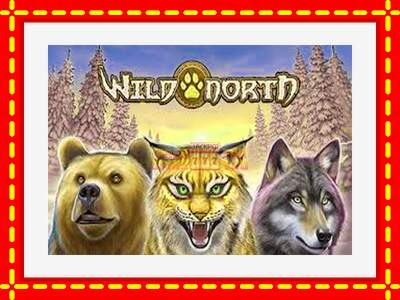 Speel de machine Wild North: spannende gratis spins